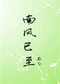 南风已至文案经典语录